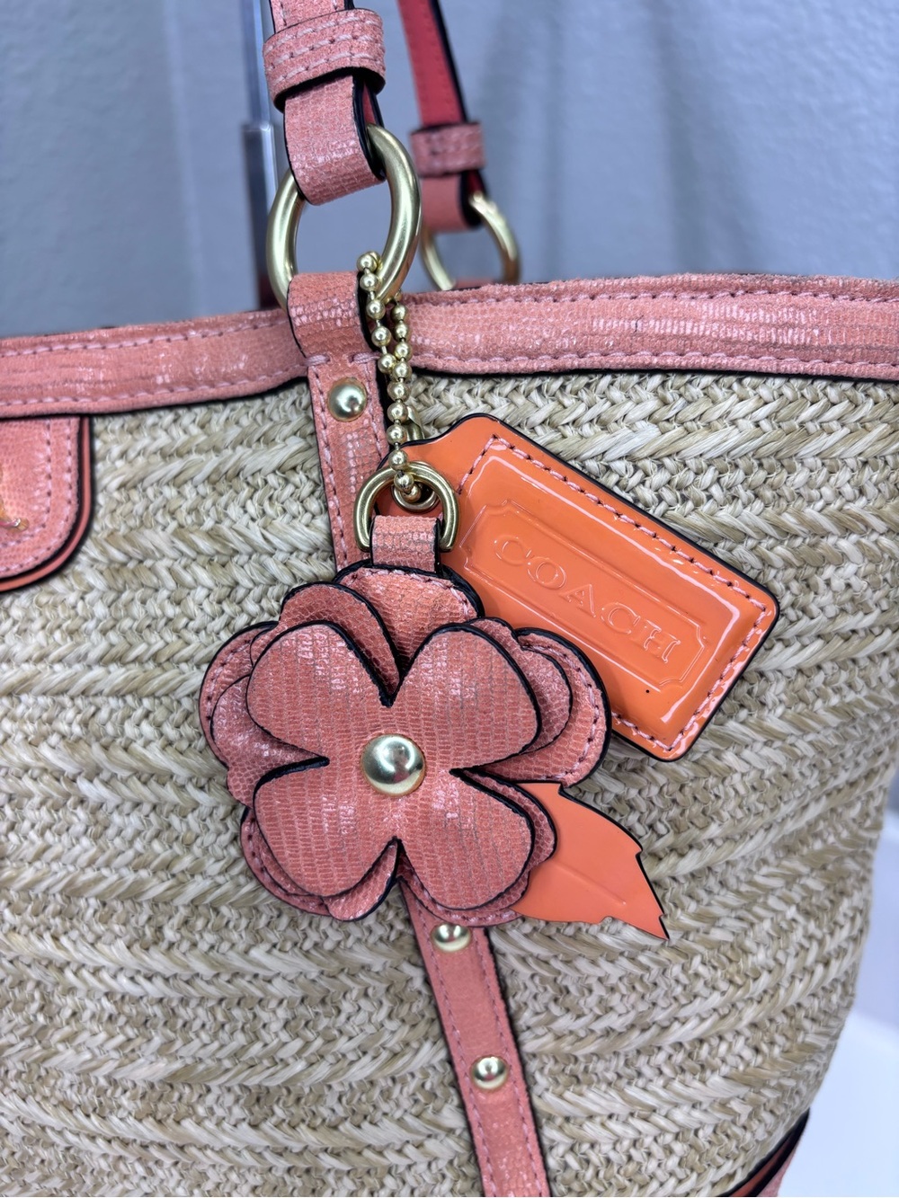 Coach Alexandra Python Straw Tote - Picture 7 of 13
